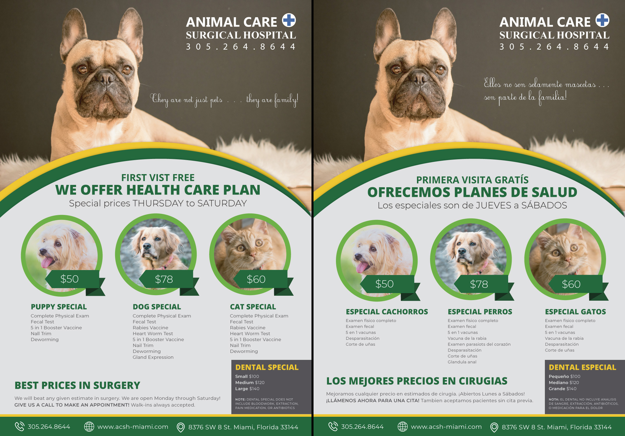 Veterinarian Specials in Miami, FL | Animal Care & Surgical Hospital
